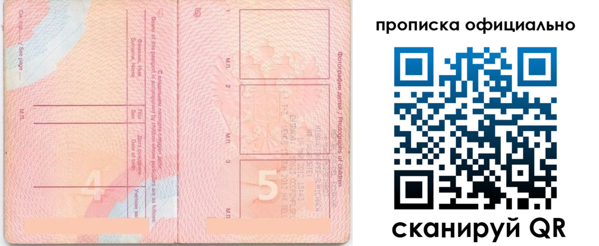 прописка для школы в Сосенском